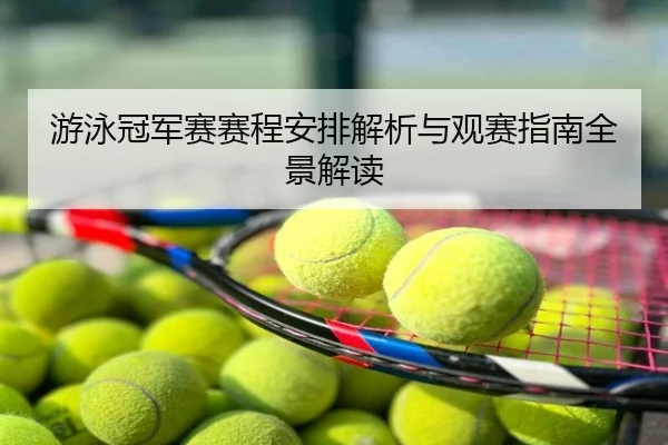 游泳冠军赛赛程安排解析与观赛指南全景解读