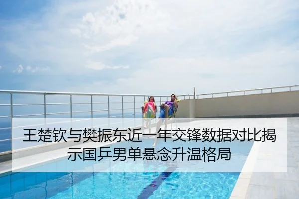 王楚钦与樊振东近一年交锋数据对比揭示国乒男单悬念升温格局